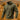 Khaki textured hoodie - Beaulin Paris