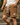 Brown Shorts - Beaulin Paris