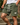 Green Shorts - Beaulin Paris