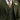 Dark Green three-piece suit detail - Beaulin Paris